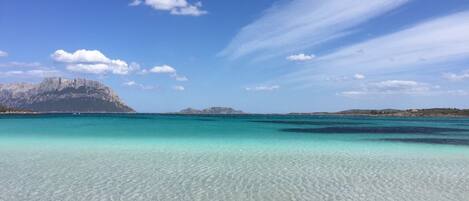 Beach nearby, sun loungers