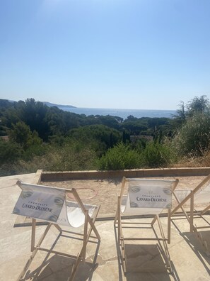Property grounds - Villa with pool and sea view (Cavalaire sur mer)