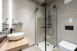 Shower, hair dryer, bathrobes, slippers