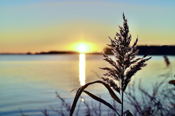 Exterior - Hafenhotel zu Putbus (Putbus)