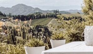 Weinlandschaft mit Rebenzeilen, weißer Außenbestuhlung und einer entfernten Hügellandschaft.