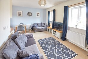 TV, video games, DVD player, books