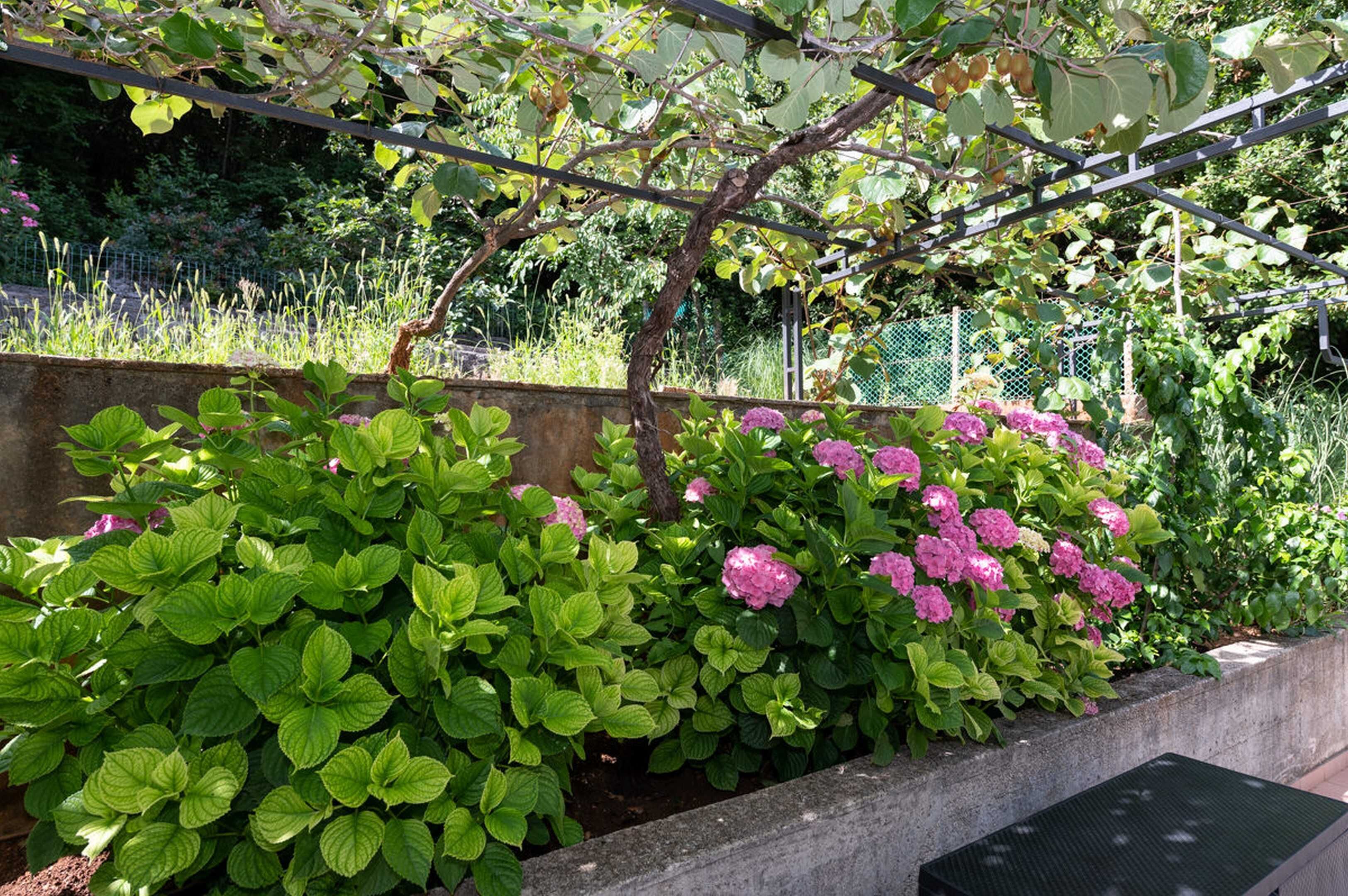 Appartement (Two bedroom apartment with Terrace an) | Terrasse/Patio