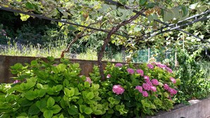 Un jardín con follaje verde exuberante y flores rosadas, una jardinera de concreto y una celosía metálica.