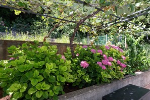 Appartement (Two bedroom apartment with Terrace an) | Terrasse/Patio