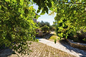 المنطقة المحيطة بالمنشأة