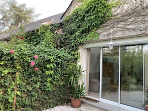 A house with a large glass door, a potted plant, and a wall covered in ivy.
