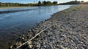 Orilla de río con cielo despejado y árboles a lo lejos.