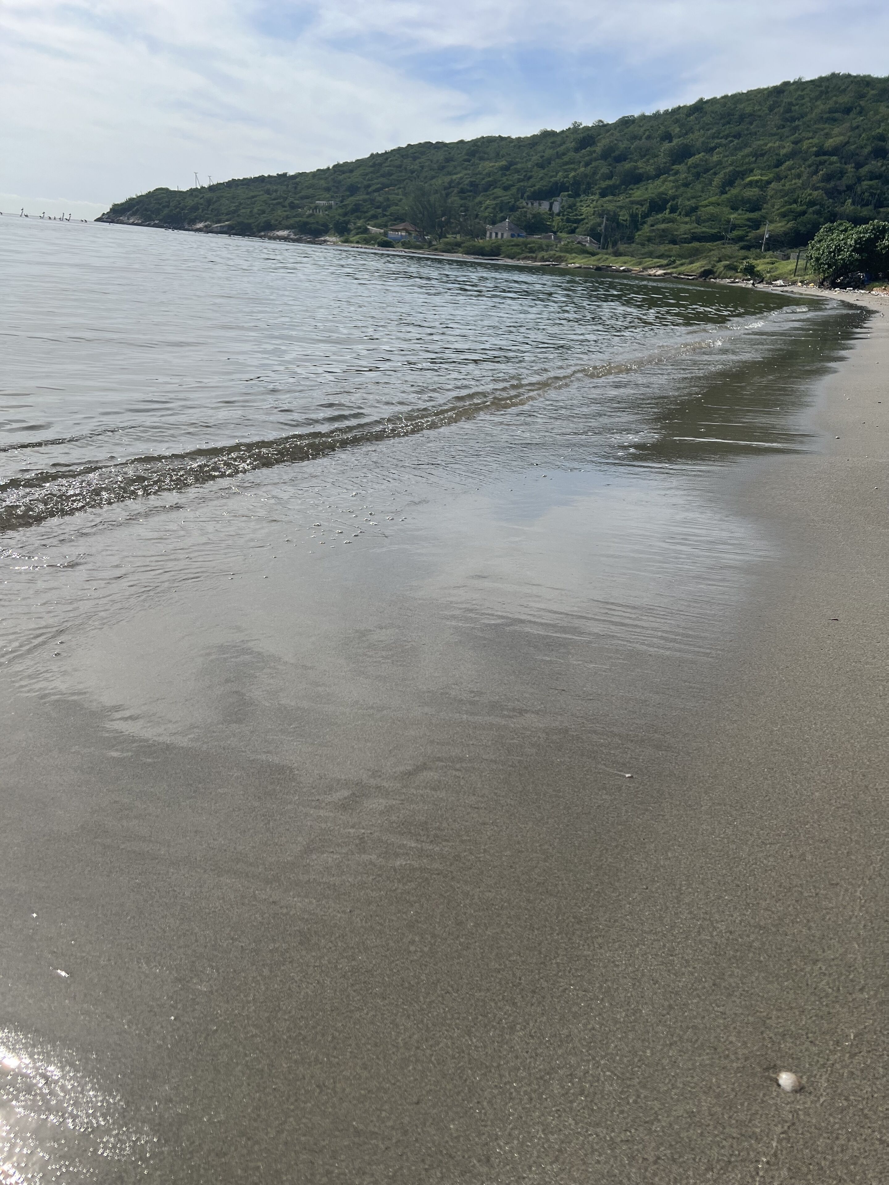海灘、躺椅
