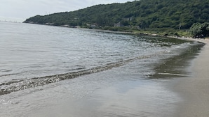 En strand med en sandstrand och en skogbeklädd kulle i bakgrunden.