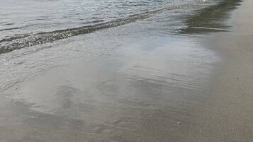 海灘、躺椅