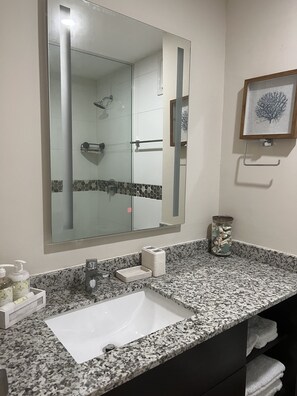 Shower, hair dryer, towels, toilet paper
