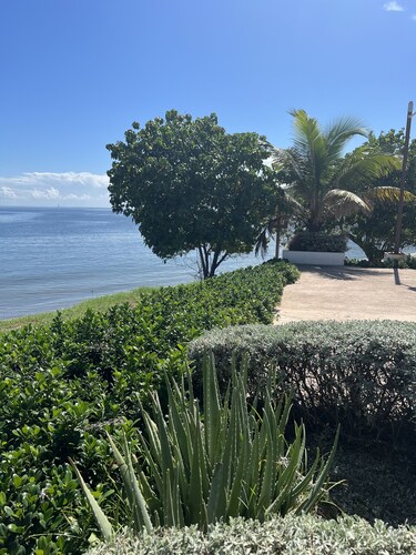 Bayfront Apartment & villa