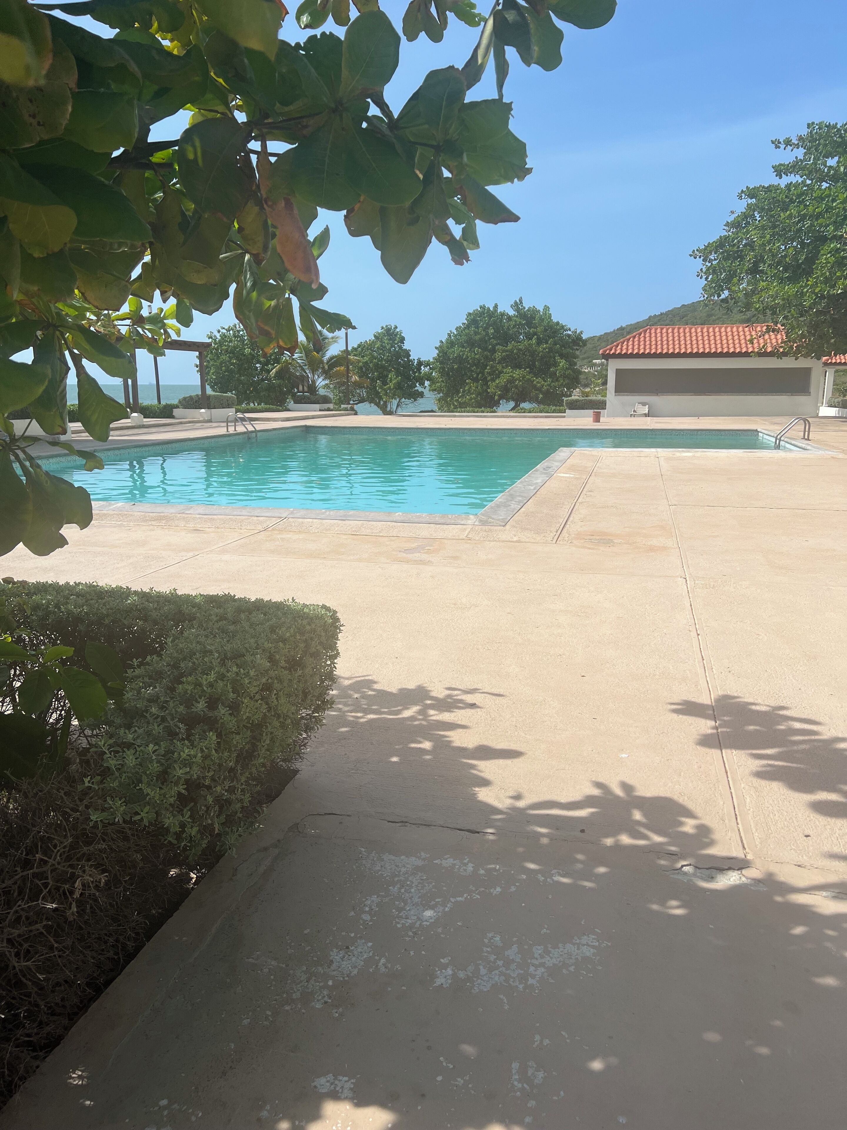 Une piscine à l’eau d’un bleu limpide, entourée d’une terrasse en béton et de verdure.