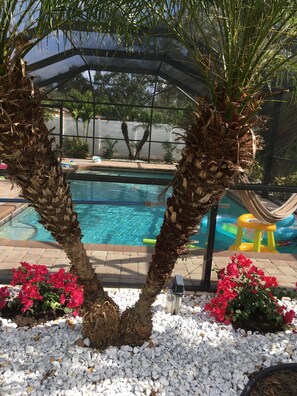 حمّام سباحة خارجي، حمّام سباحة مُدفَّأ