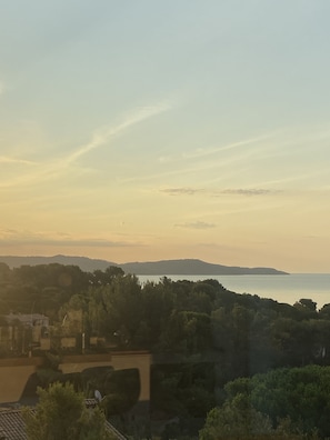 Vista desde la propiedad