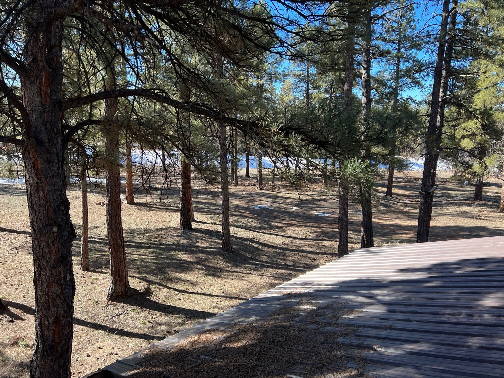 Lovely loft apartment in beautiful Mancos!