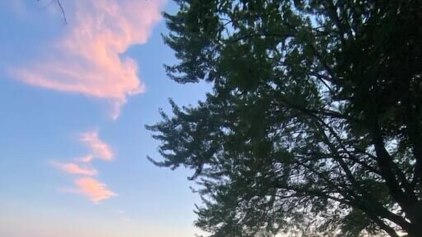 Une jetée au bord du lac, avec des bateaux et des chaises, une plateforme en bois, et un arbre qui offre de l’ombre.