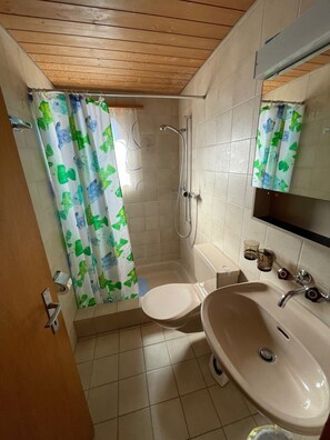 Douche, sèche-cheveux, serviettes fournies, savon