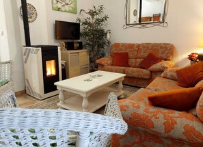 Smart TV, chimenea, reproductor de DVD y libros 