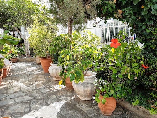 View from property - The Elegant Summer House (Spetses)