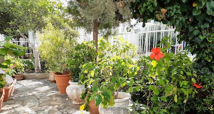 The Elegant Summer House