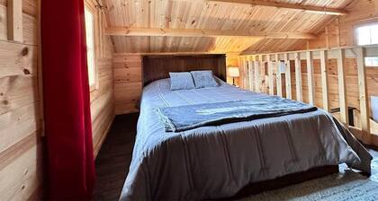 Red Salmon, Red Salmon Lake View Cabin