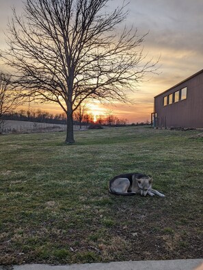 Property grounds