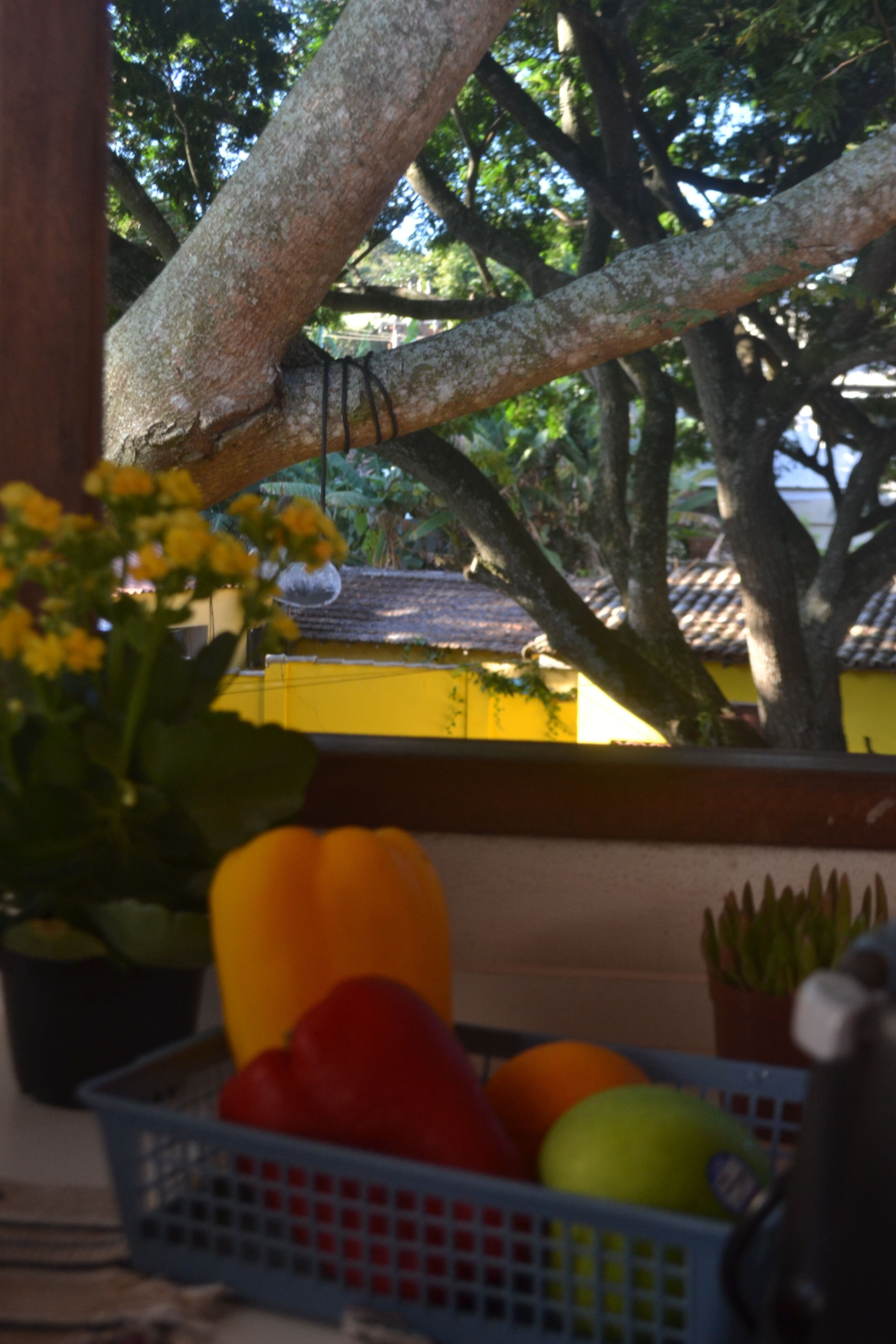 Photo - 5to Elemento House
