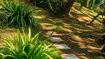 Taman