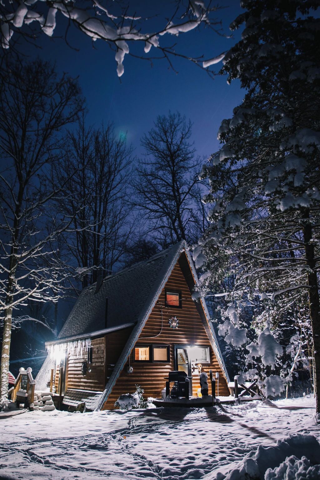 Winter wonderland in the woods