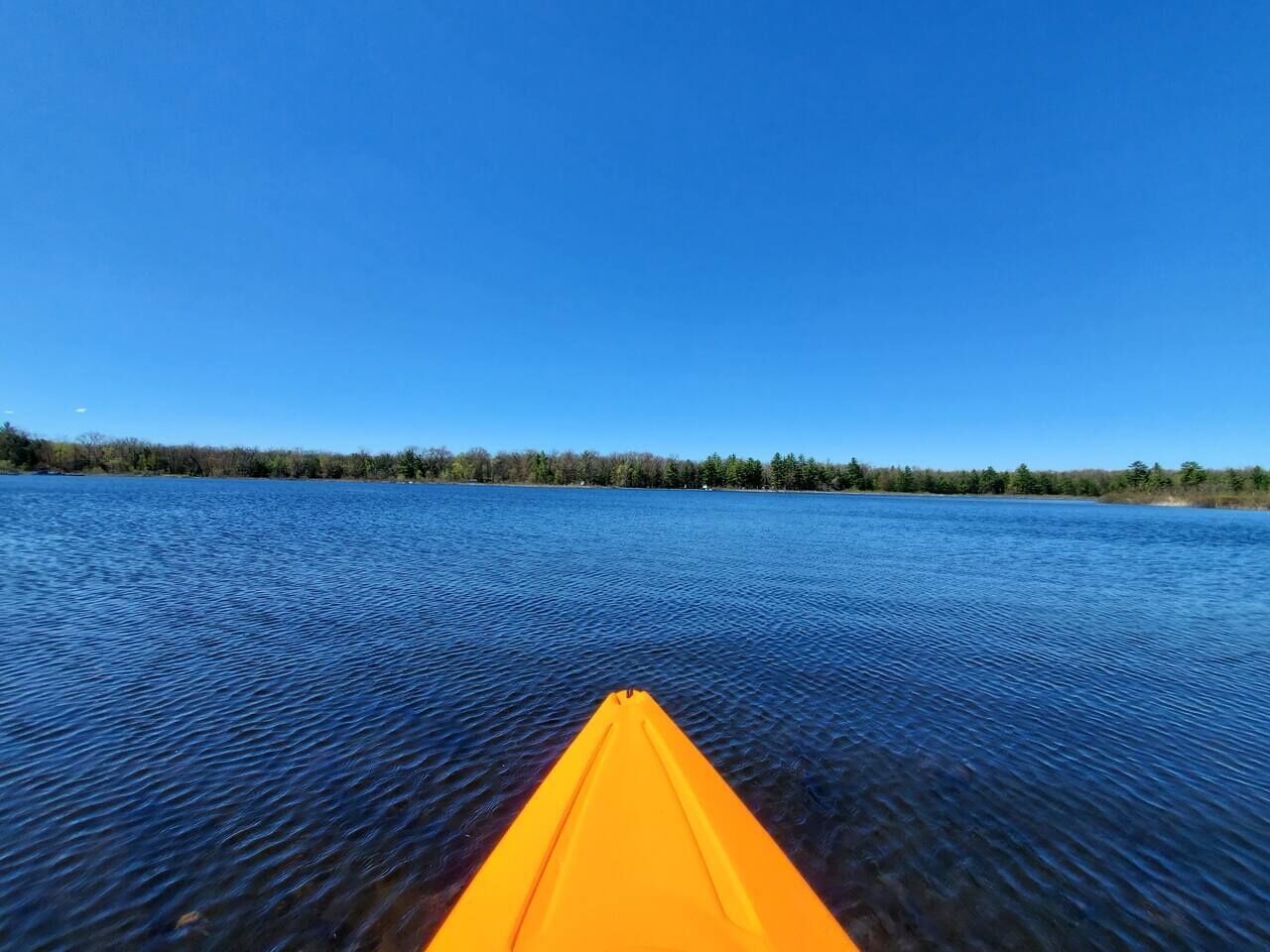 Un kayak sobre aguas tranquilas, con un cielo azul despejado y una ribera cubierta de bosque.