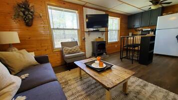 Smart-tv, een open haard, een dvd-speler en een filmbibliotheek