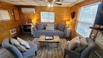 Smart TV, fireplace, DVD player, video library