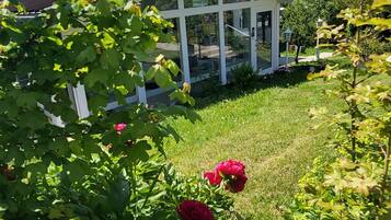 Detalle del exterior