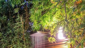 Eine Duschkabine aus Holz mit Bambus-Hintergrund.