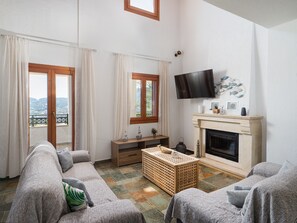 تلفزيون ذكي، مدفأة، مشغل دي في دي