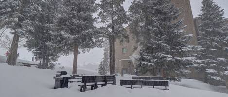 Backyard area in the midst of a snowstorm.