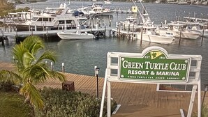 Marina com barcos atracados, placa do Green Turtle Club Resort & Marina e uma palmeira.