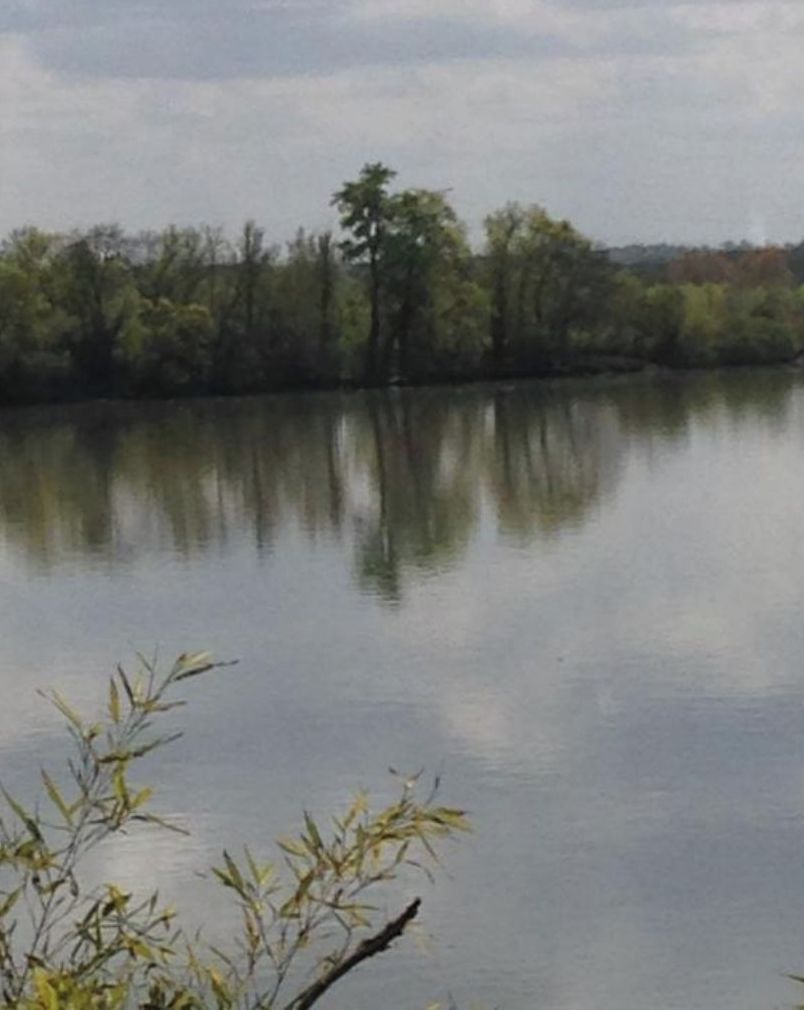 A calm lake with trees reflecting on the water.
