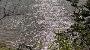 Um lago com um veleiro, rodeado por árvores e vegetação.