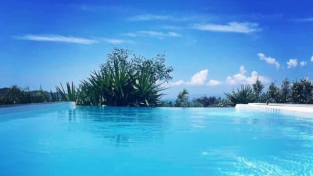 A clear blue pool surrounded by tropical vegetation and a clear sky. - Rustic Hill Private Pool Rooms (Kalamata)