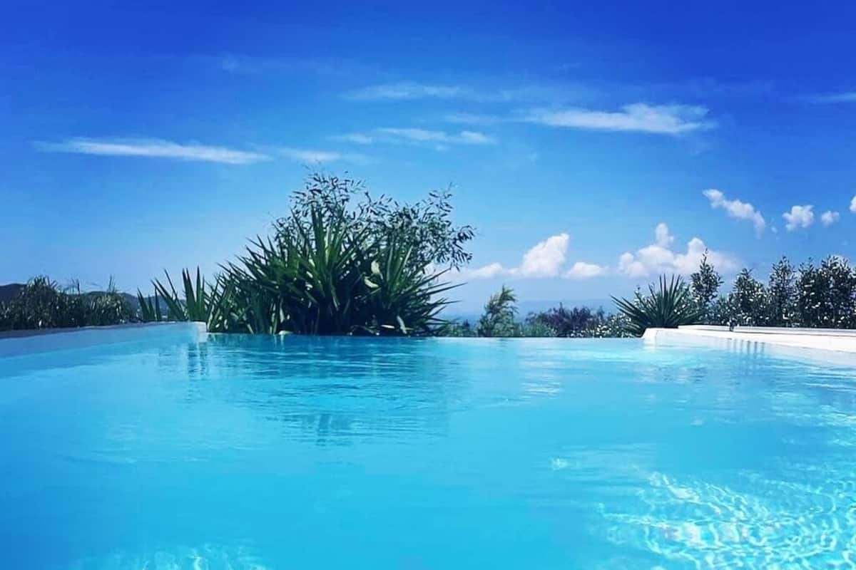 Una piscina azul cristalina rodeada de exuberante vegetación tropical y un cielo despejado.