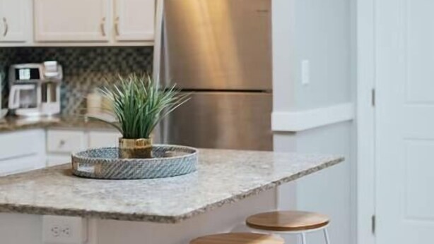 A kitchen with white cabinets, a stainless steel refrigerator, a granite countertop, two bar stools, and a potted plant. - Pet-Friendly Loft Downtown Near Dining & Parks 203 (Johnson City)