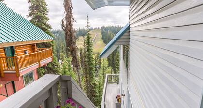 3 Bed/2 Bath Home w/amazing views, BBQ, laundry, close to village & trails