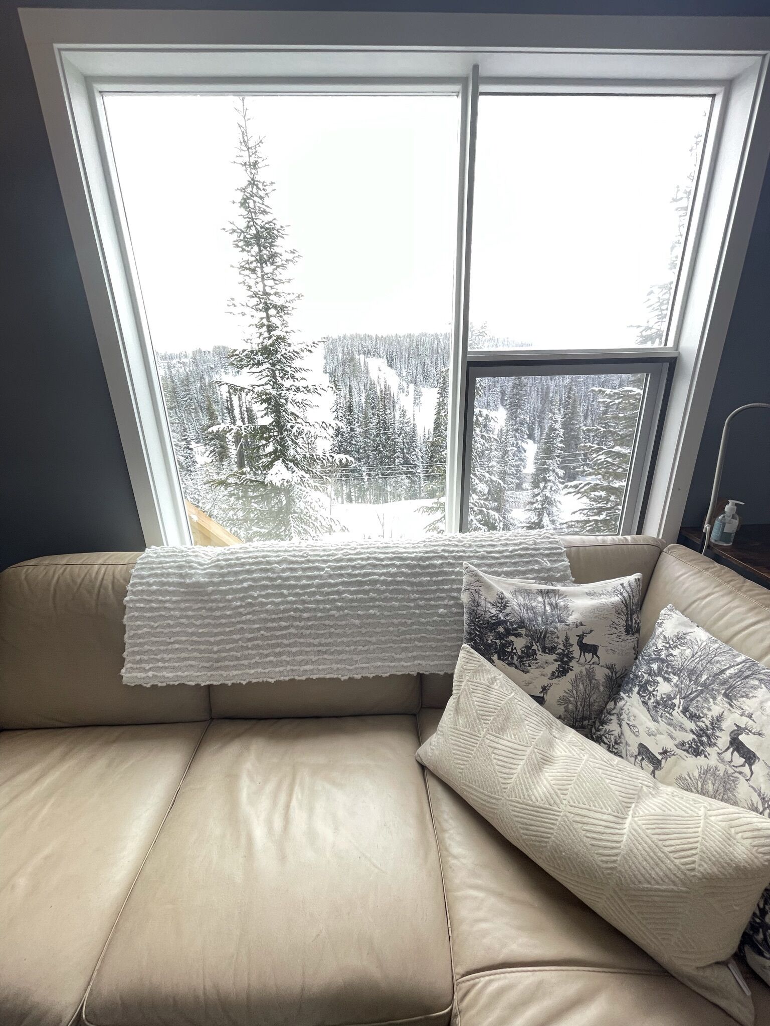 3 Bed/2 Bath Lower Half Ski Chalet Recently Updated and Modernized - Hot Tub