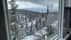 A snowy forest view from a window. - 3 Bed/2 Bath Home w/amazing views, BBQ, laundry, close to village & trails (Star Mountain)