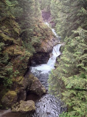 Miscellaneous - Cottage Located Directly On The River (North Bend)