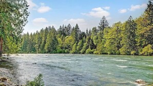 A river flowing through a forested area with dense trees on both sides.