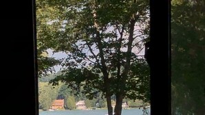 Blick durch ein Fenster auf einen See mit angestaubten Booten, Bäumen und einer Wiese.